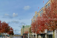 Autumn-2
