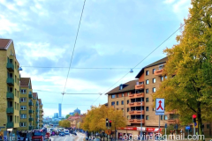 Autumn-3