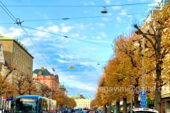 Autumn-4