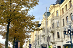 Autumn-8
