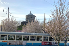 Spring-3