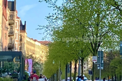 Spring-5