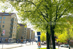 Spring-6