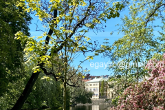 Spring-7