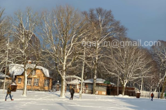 Winter-6