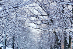 winter-4
